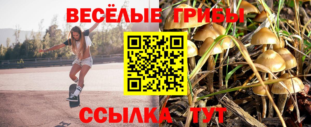 Галлюциногенные грибы Psilocybine cubensis  где можно купить наркотик  Семёнов  Вход с VPN 