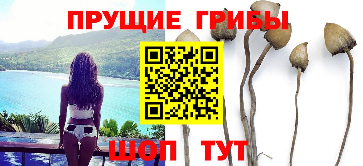 Псилоцибиновые грибы ЛСД Семёнов